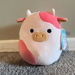 NWT Reshma Squishmallow